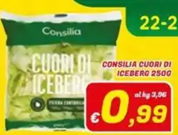 Idromarket Consilia cuori di iceberg offerta