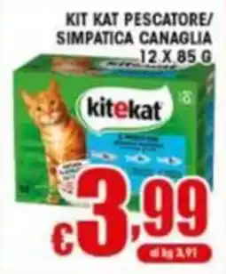 Sacoph Kit Kat Pescatore offerta
