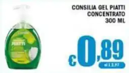 Sacoph Consilia gel piatti concentrato offerta
