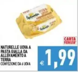 Supermercati Agorà Naturelle uova a pasta gialla da allevamento a terra offerta