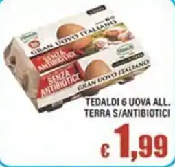 Top Supermercati Gran uovo italiano senza antibiotici offerta
