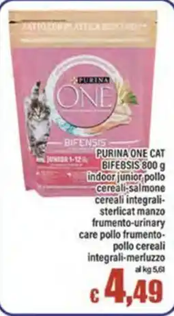 Top Supermercati Purina One Cat Bifensis offerta
