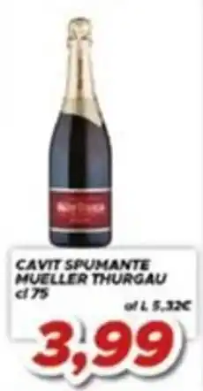 MA Supermercati Cavit spumante mueller thurgau offerta