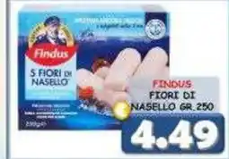 MercADone Findus Fiori di nasello offerta