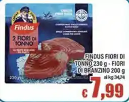 Top Supermercati Findus Fiori di Tonno offerta
