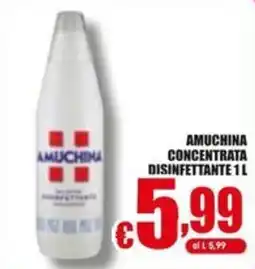 Gesad Supermercati Amuchina concentrata disinfettante offerta