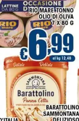 Sacoph Barattolino Panna Cotta Sammontana offerta