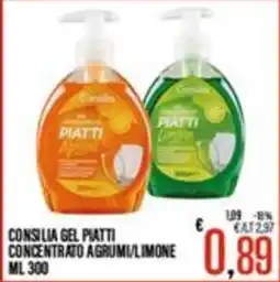 Supermercati EffePiù Consilia gel piatti concentrato agrumi offerta