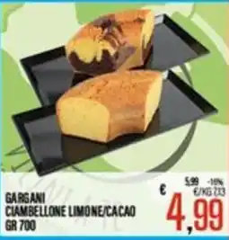Supermercati EffePiù Gargani ciambellone limone/cacao offerta