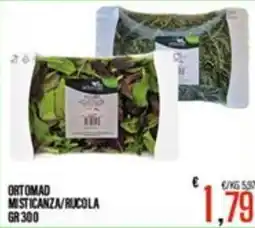 Supermercati EffePiù Ortomad misticanza/rucola offerta