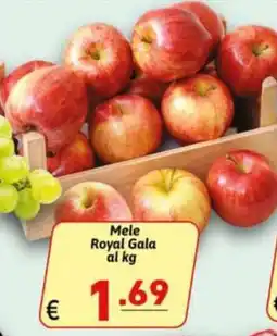 Ipercarni Mele Royal Gala offerta