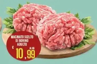 Macinato scelto di bovino adulto