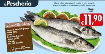 Deco Maxistore Spigole offerta