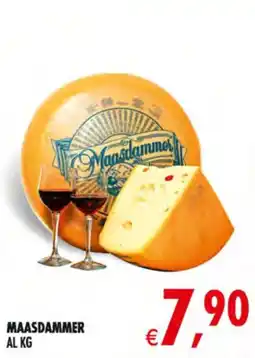 Deco Maxistore Maasdammer offerta