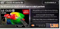Expert LG OLED AI serie B6 offerta