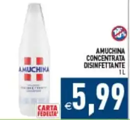 Iperfamily Amuchina concentrata disinfettante offerta