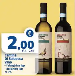 Il Punto Sigma Cantina Di Solopaca Vino offerta