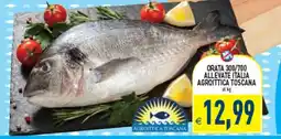 Iperfamily Orata allevate Italia Agroittica Toscana offerta
