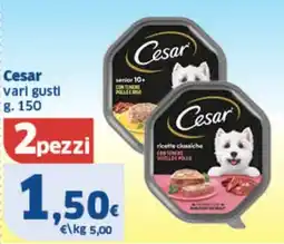 Il Punto Sigma Cesar vari gusti offerta