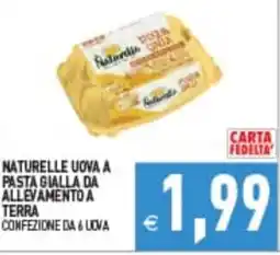 Iperfamily Naturelle uova a pasta gialla da allevamento a terra offerta