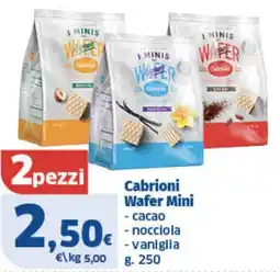 Il Punto Sigma Cabrioni Wafer Mini offerta