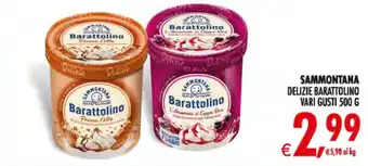Decò Local Sammontana Delizie Barattolino offerta