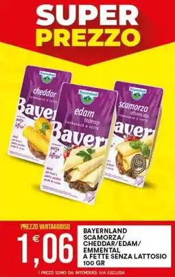 Vantaggio Cash&Carry Bayerland formaggio a fette senza lattosio offerta