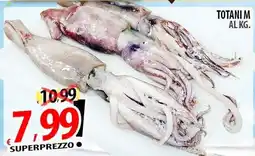 Il Genio Supermercato Totani M offerta