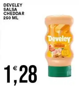 Vantaggio Cash&Carry Develey salsa cheddar offerta