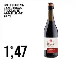 Vantaggio Cash&Carry Bottebuona Lambrusco Frizzante Amabile IGT offerta