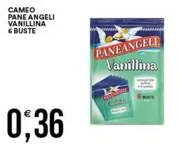 Vantaggio Cash&Carry Cameo Paneangeli Vanillina offerta