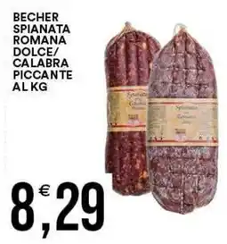 Vantaggio Cash&Carry Becher spianata romana offerta