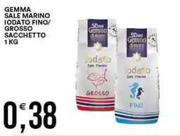 Vantaggio Cash&Carry Gemma sale marino iodato offerta