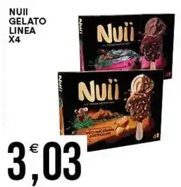 Vantaggio Cash&Carry Nuii gelato linea offerta