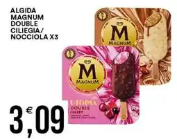 Vantaggio Cash&Carry Algida Magnum Double Ciliegia/Nocciola offerta