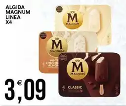 Vantaggio Cash&Carry Algida Magnum Linea offerta