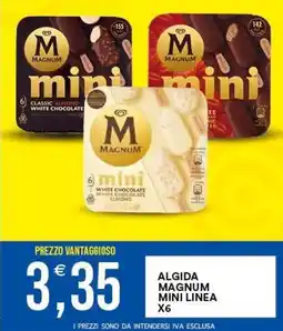Vantaggio Cash&Carry Algida Magnum mini linea offerta