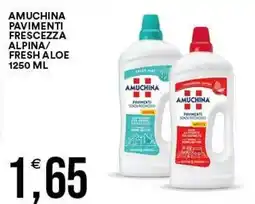 Vantaggio Cash&Carry Amuchina pavimenti freschezza alpina/fresh aloe offerta