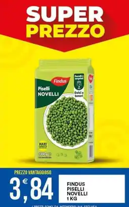 Vantaggio Cash&Carry Findus Piselli Novelli offerta