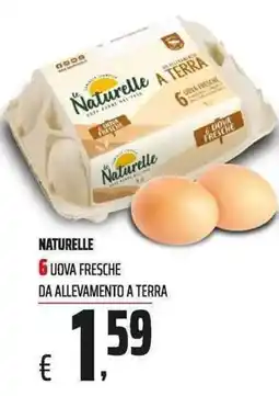 Coop Uova fresche Naturelle offerta