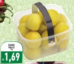 Iperfamily Susine gialle offerta