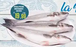 Supermercati EffePiù Spigole pescata mediterraneo offerta