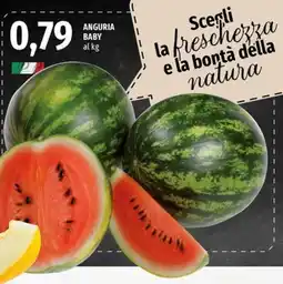 Famila Superstore Anguria Baby offerta