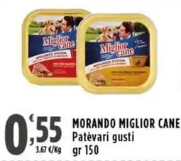 Rossotono Carrefour Morando Miglior Cane Patèvari gusti offerta