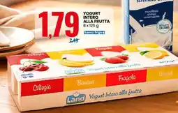 Eurospin YOGURT INTERO ALLA FRUTTA offerta