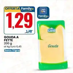 Eurospin GOUDA A FETTE offerta