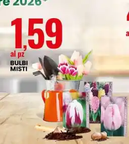 Eurospin Bulbi Misti offerta