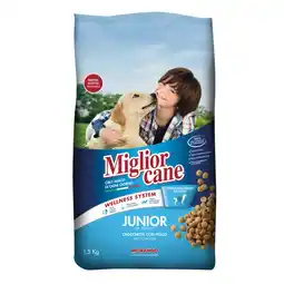 Mercati di Città La Prima MIGLIOR CANE offerta