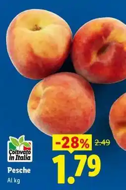 Lidl PESCHE offerta