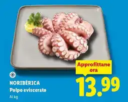 Lidl Noriberica Polpo eviscerato offerta